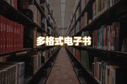 多格式电子书